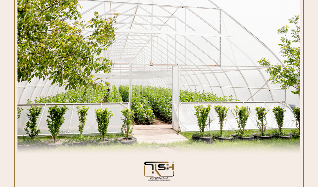 نیک آریا تاش TFA