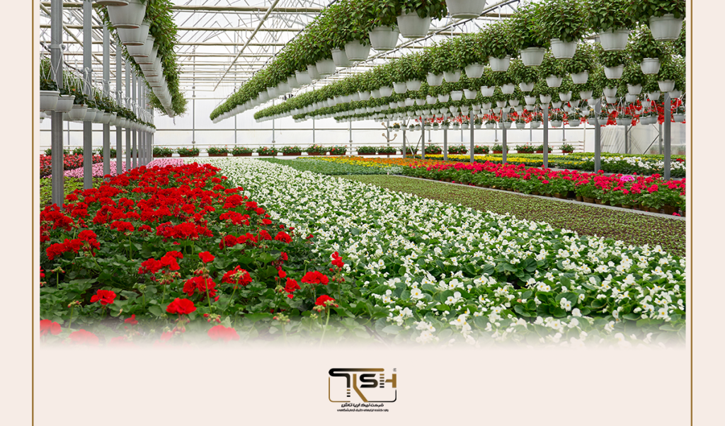 نیک آریا تاش TFA