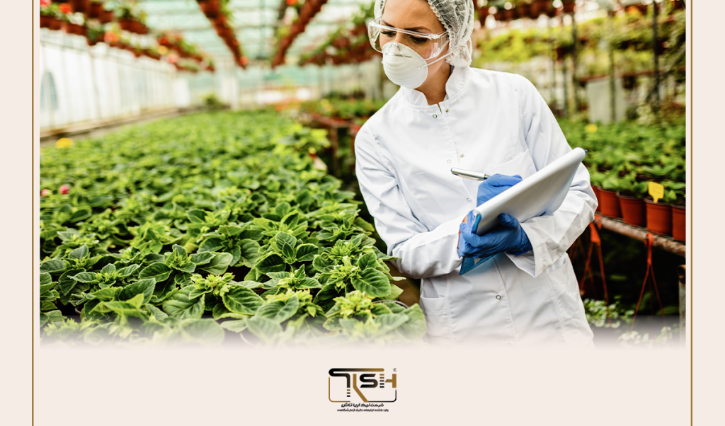🌱 چطور یک گلخانه سودآور و پایدار بسازیم؟ | ۷ اصل مدیریت حرفه‌ای